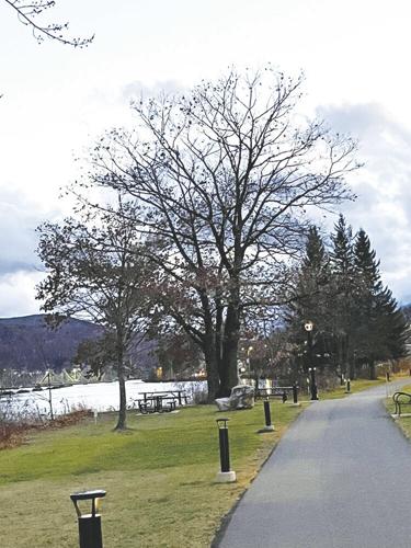Berlin man sentenced for theft of Riverwak solar lights