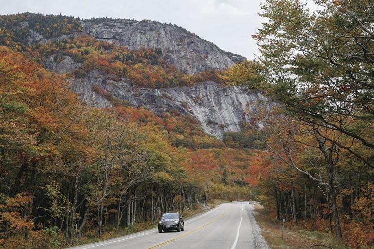 10-15-22 Foliage willard
