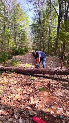 6- tin mtn clearing tree.jpg