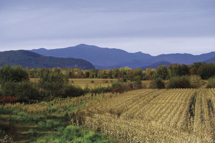 10-12-17 The Valley.JPG