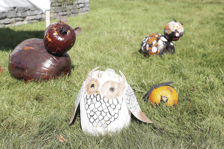 10-05-21 Pumpkins jackson grammar detail