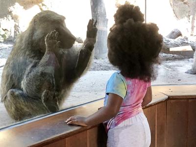 baboongeometrykid_featured