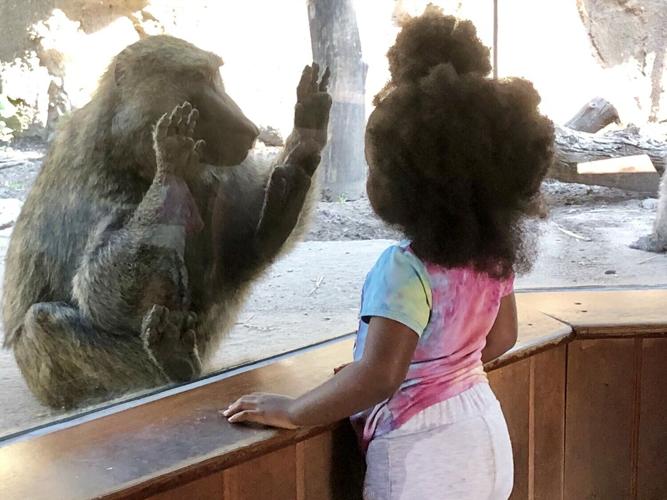 baboongeometrykid_featured