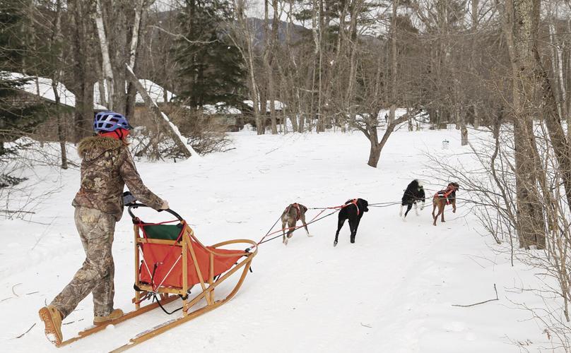 02-05-23 Sled Dogs on trail behind