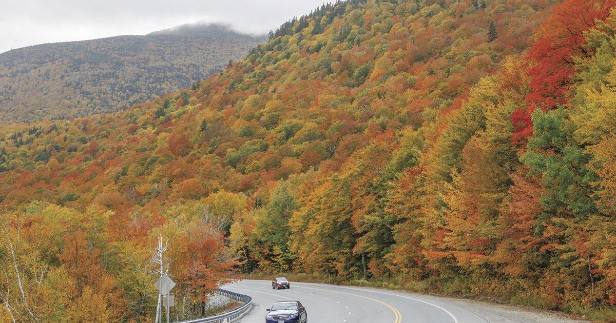 Drive like a local: Three scenic byways to explore | Local News