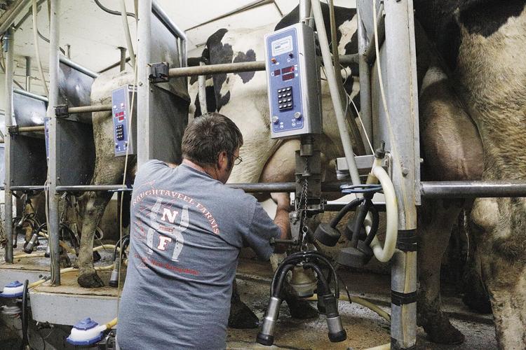 06-01-22 Hussey Farm milking cows