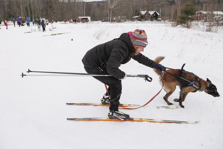 02-05-23 Sled Dogs tight skier starting