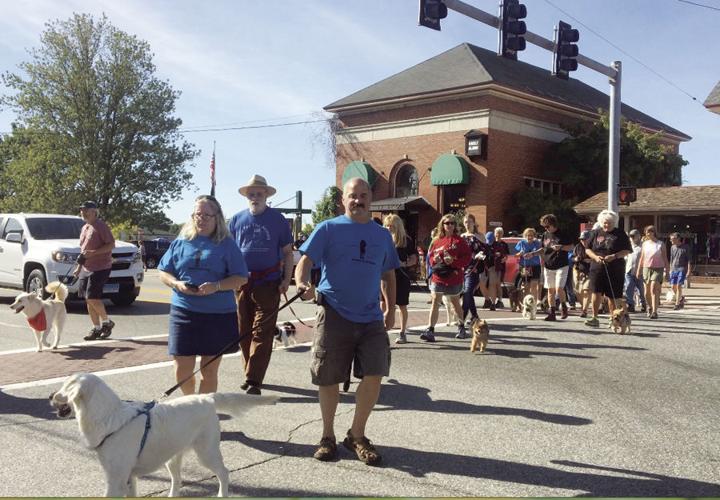 Walk for the Animals