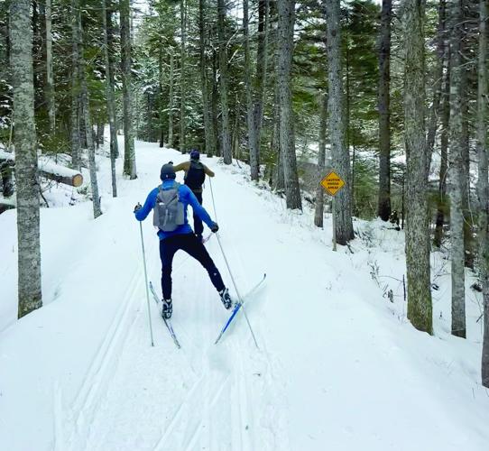 Nordic Tracks - end-of-the-season adventure ski - skiers glide