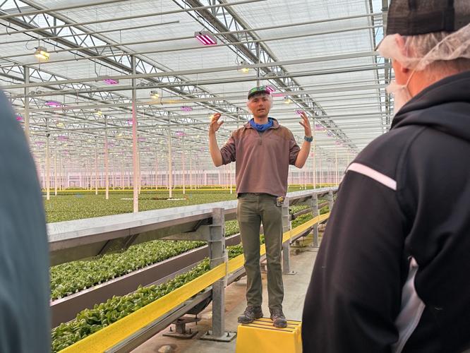 Jack Daley, project manager of North Country Growers
