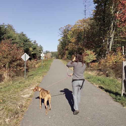 Wheel Family Fun - dog walker on Fryeburg's Mountain Division Trail