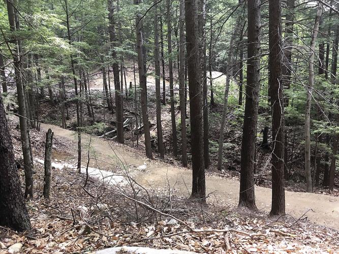 Wheel Family Fun - Switchbacks at Cranmore