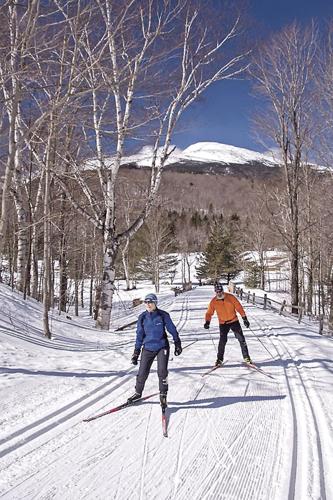 Nordic Tracks - Great Glen Trails skiers and view