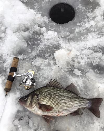Fishing Report 1-19