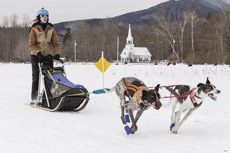 02-11-23 Sled Dogs tight two-dog team
