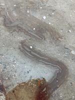 Oil spill cleaned up on Conway Lake