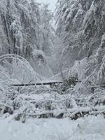 Local towns to seek federal help for April storm damage