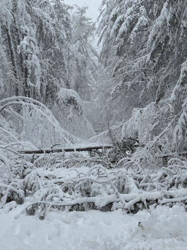 John Hodgdon Road Ossipee