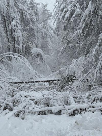 John Hodgdon Road Ossipee