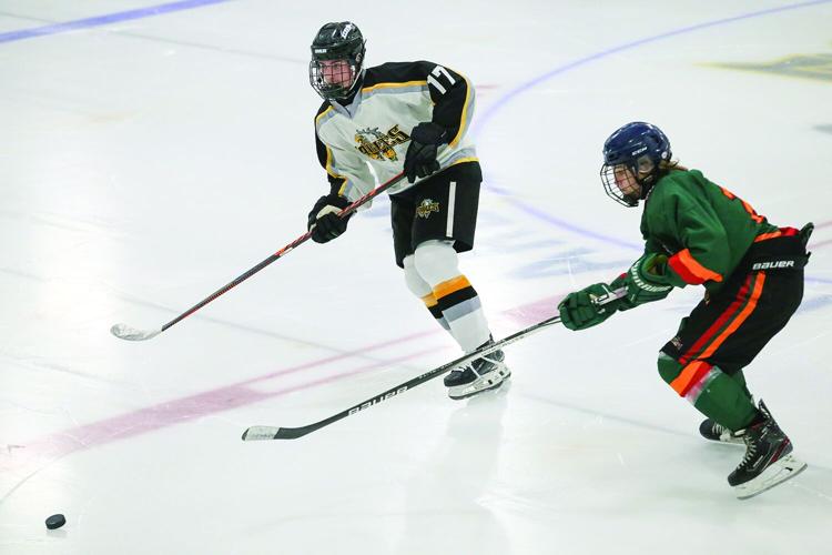 01-19-26 KHS Hockey dziedzic above