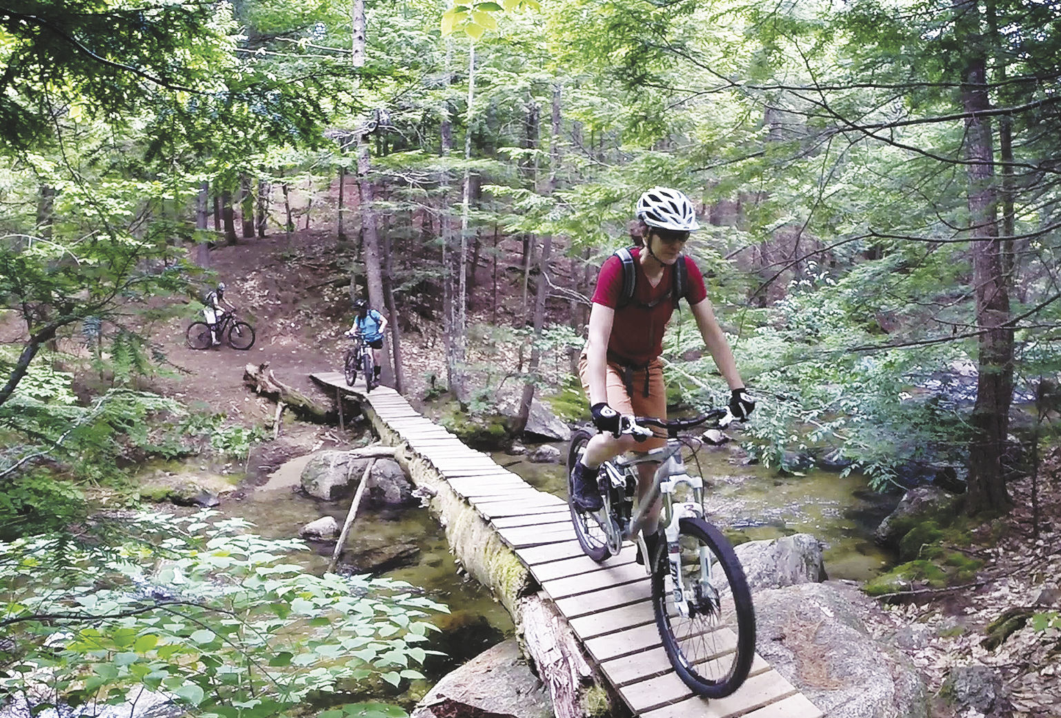 conway mountain bikes