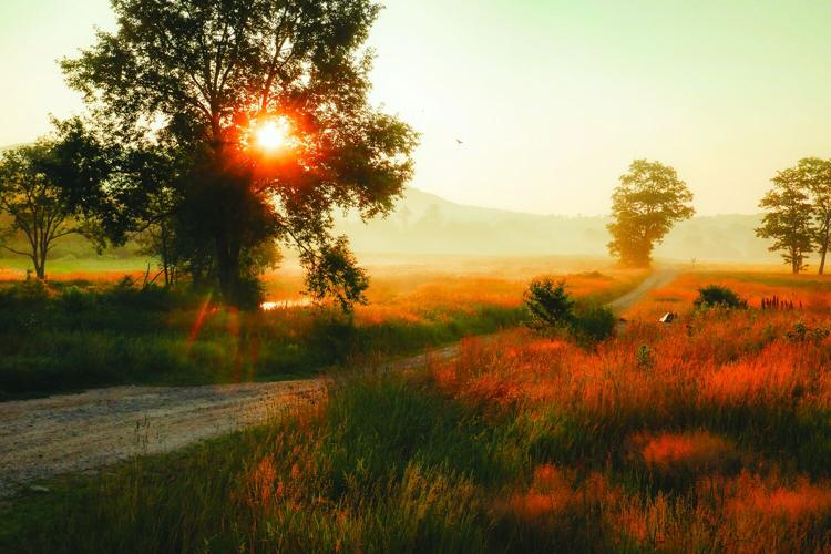 Scenics - Runner-up - Sun rising