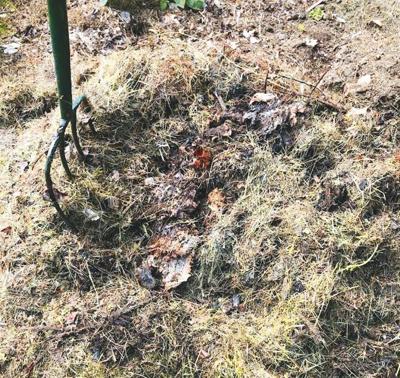 tww compost pile.jpg