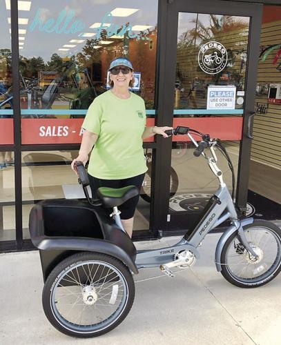 Wheel Family Fun - e-trike