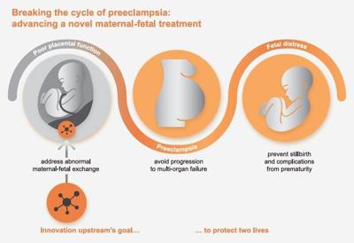 EspeRare receives a grant from the Gates Foundation to advance a novel therapy for preeclampsia