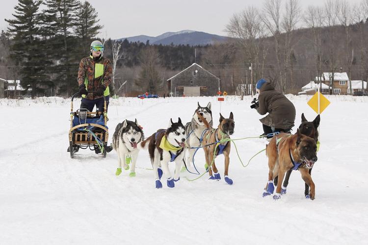 02-05-23 Sled Dogs turning through finish