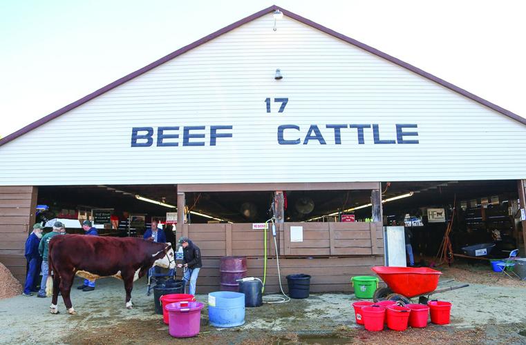 09-29-25 Fryeburg Fair wide barn