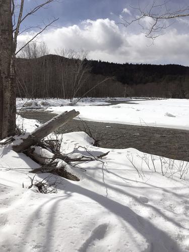 Nordic Track — March 8