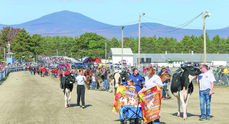 10-04-25 Fryeburg Fair extra wide dairy line