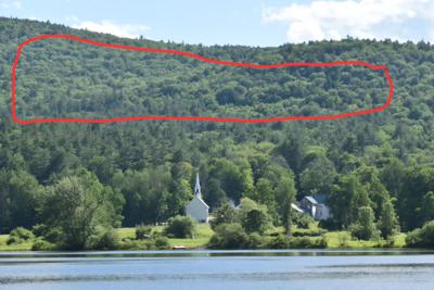 Logging site