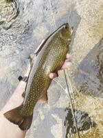 North Country Angling: The growth of the angling economy