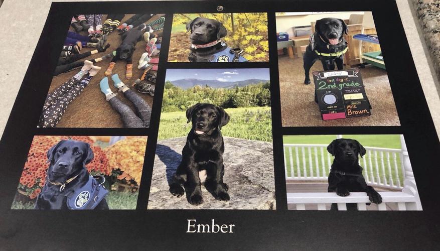 A.C.T.S. — Ember June's calender dog