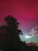 Notes from a Naturalist: First frosts and longer nights