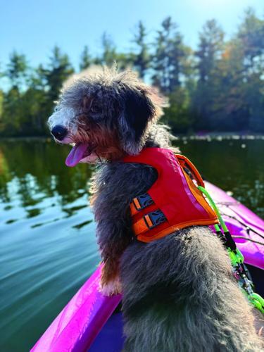 Pets - Third Place - Dog on kayak