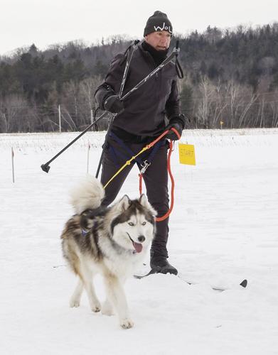 02-05-23 Sled Dogs vertical focused