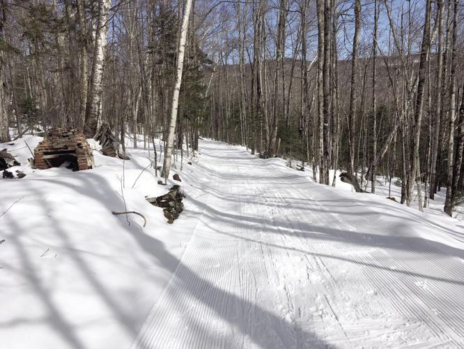 Nordic Tracks — Marsh Brook Trail