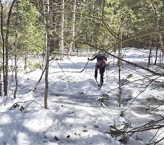 Nordic Tracks - One Last Ski - bushwhacking