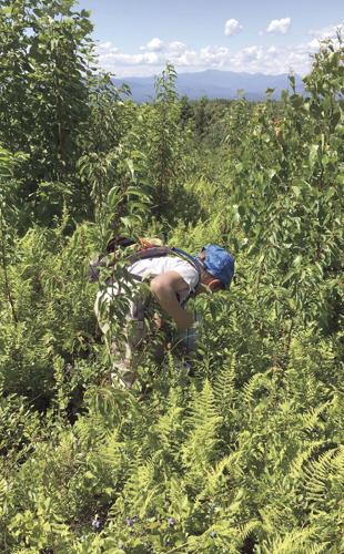 Wheel Family Fun - Iver Minnich