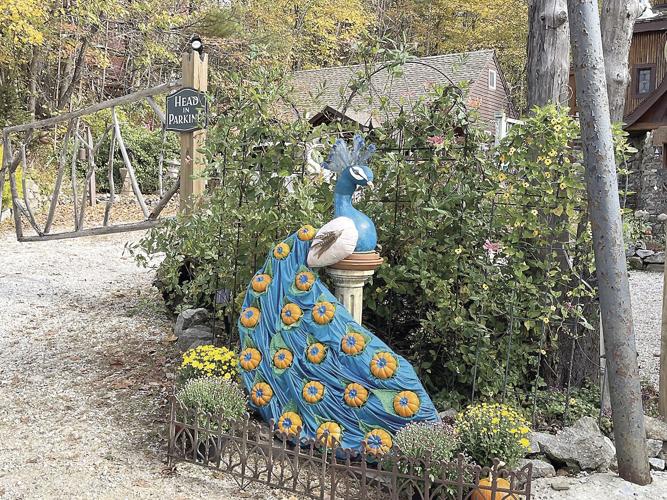 Wheel Family Fun - pumpkin people - peacock gourd