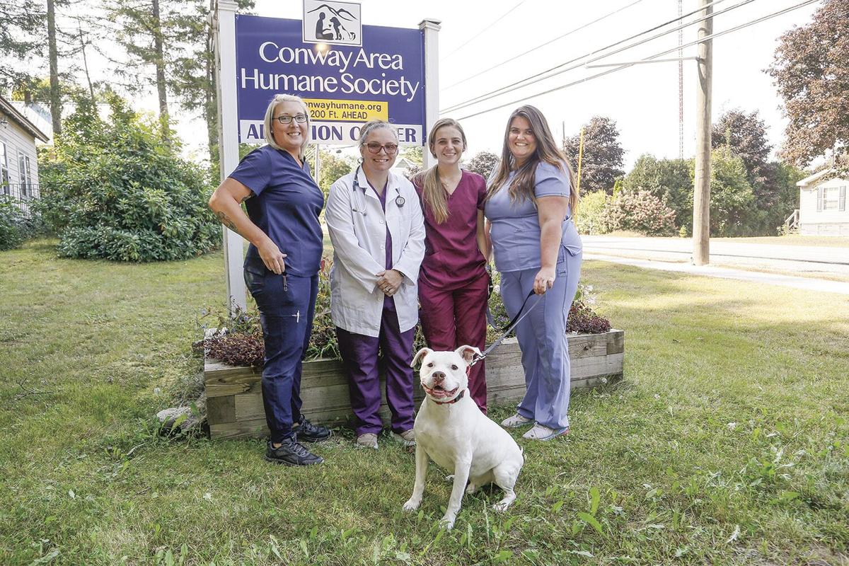 Conway Humane to open Valley Animal Hospital | Local News 