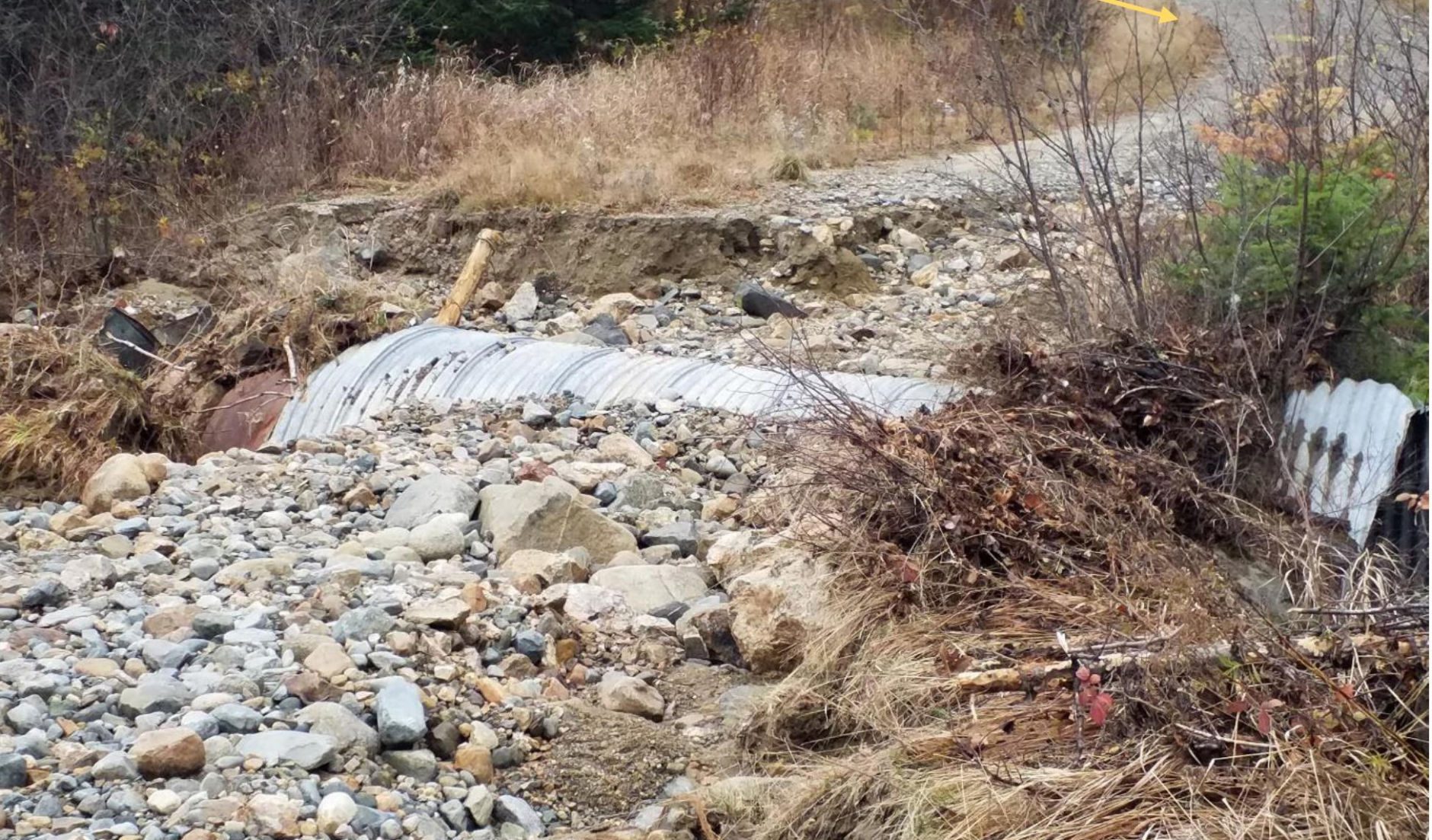 Trout habitat work planned