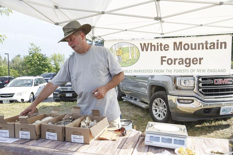 06-29-21 Farmer's Market Forager talking horizontal
