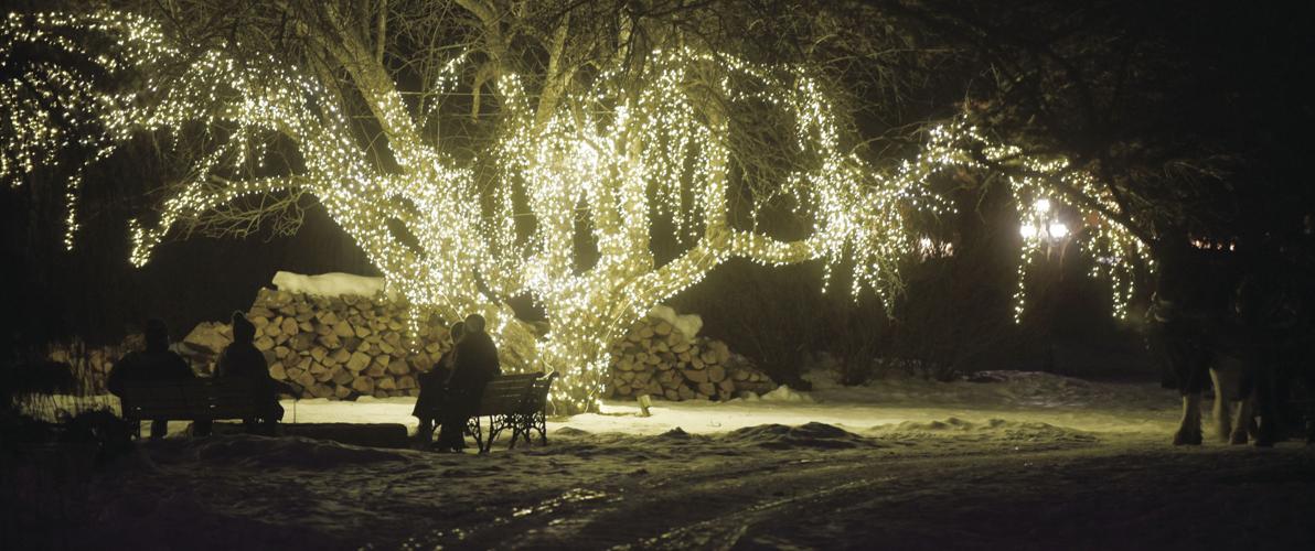 12-20-18 X-mas lights Nestlenook 1