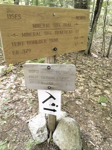Wheel Fun - In the woods on the Mineral Site Trail