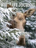 Annual Shop Wild event set for Saturday