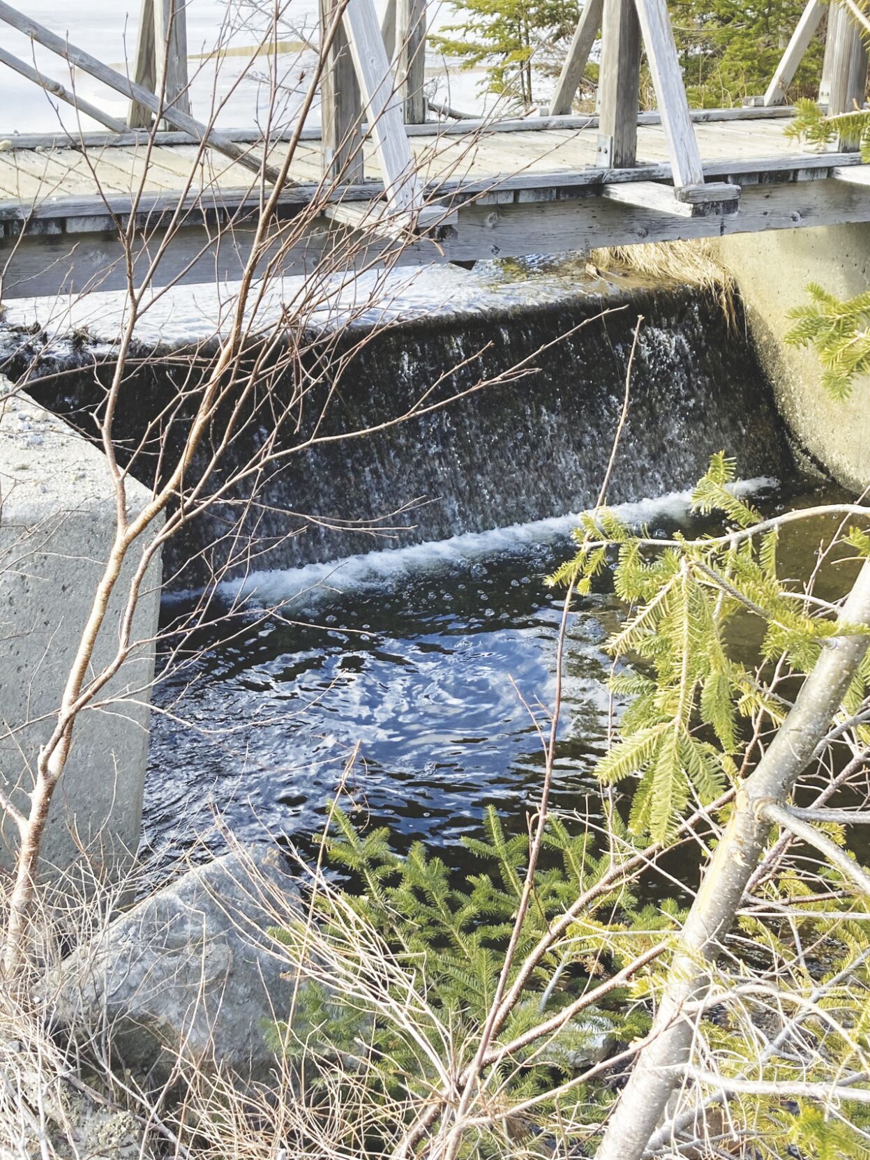 4-29-2023-North Country Angling-Valley Pride